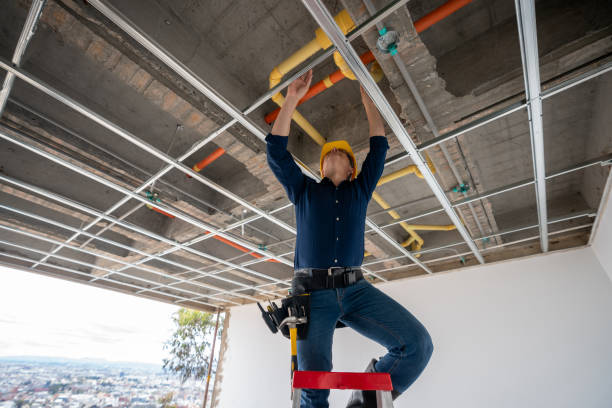 Best Plumbing Repair Near Me  in Awendaw, SC